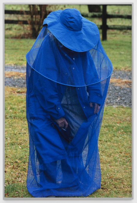 Talia Chetrit, Ash, 2021, Kaufmann Repetto, Blue man