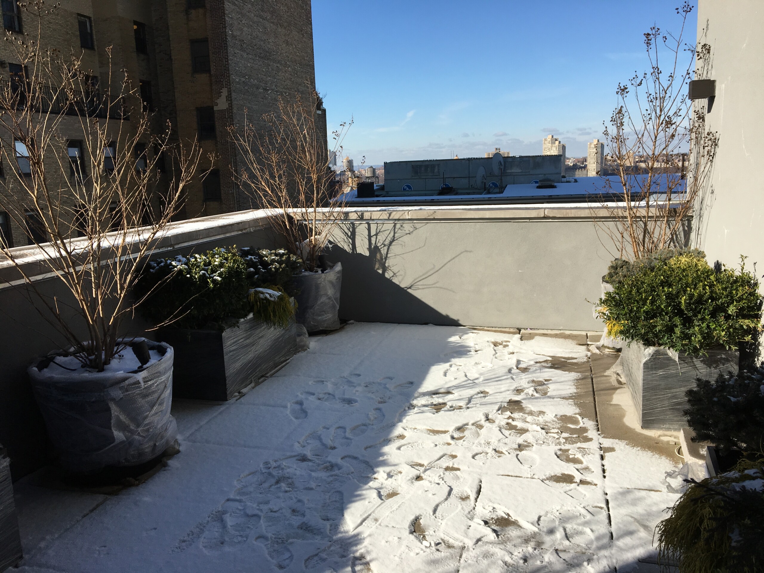 Uptown Penthouse, Roof Terrace, Before