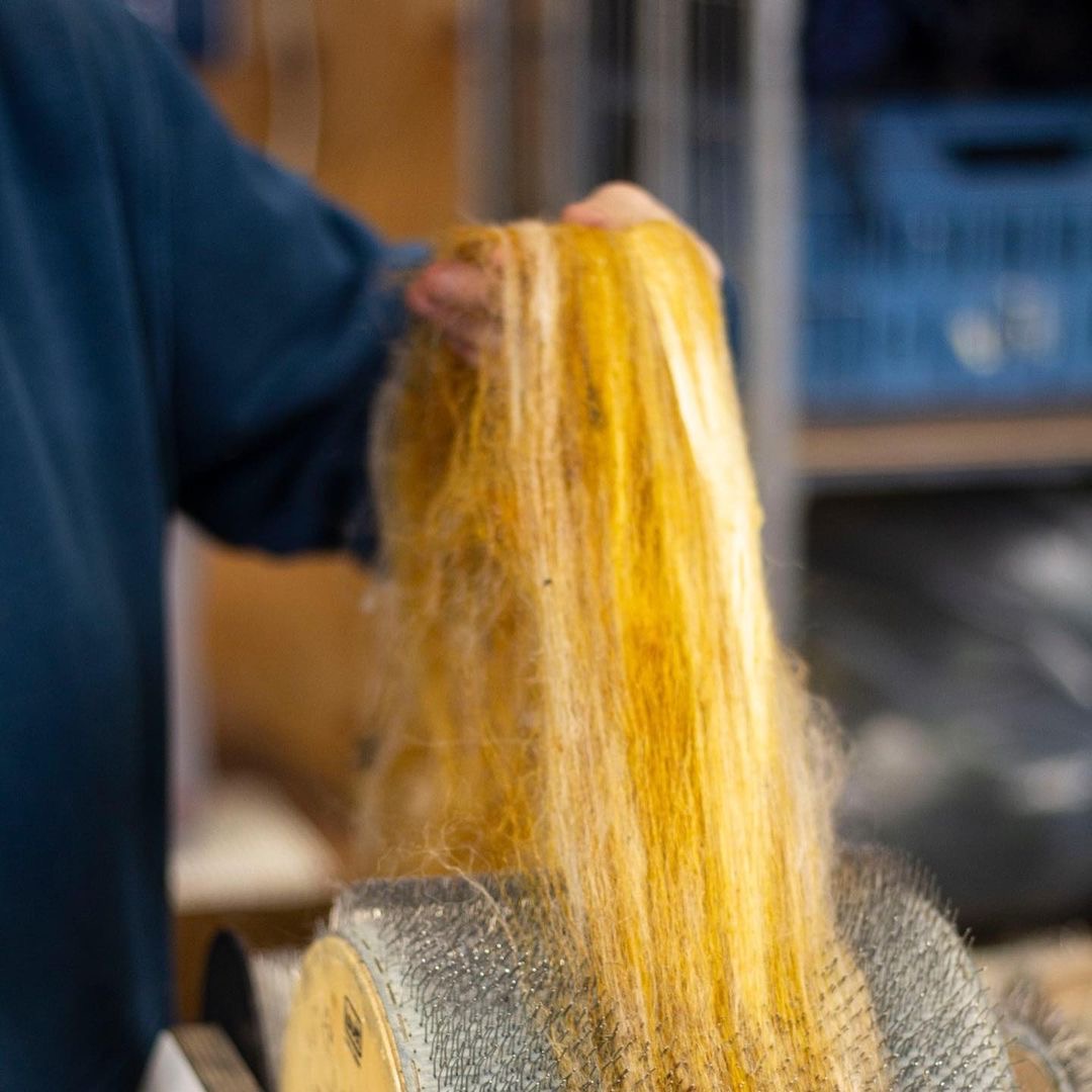 Claudy Jongstra Atelier, Image of carding plant-dyed natural wool.