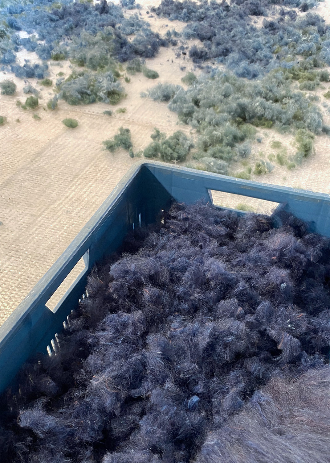 Process, Image courtesy of Claudy Jongstra