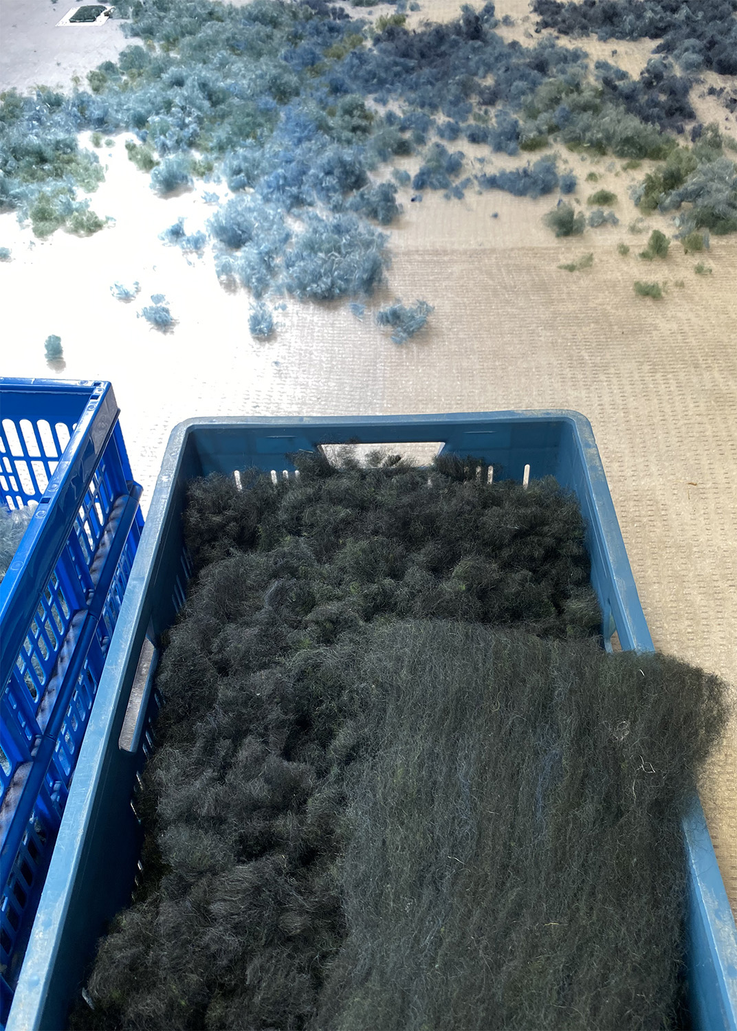 Process, Image courtesy of Claudy Jongstra