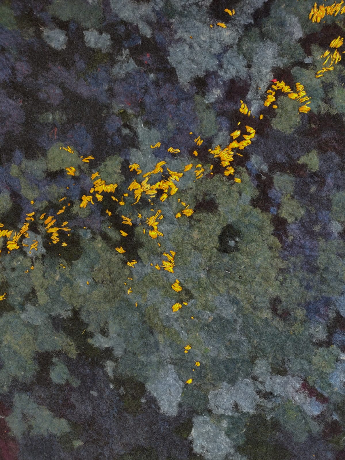 Embroidery process, image courtesy of Claudy Jongstra